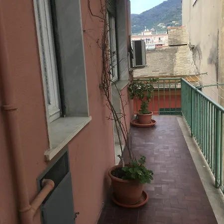 Near The *