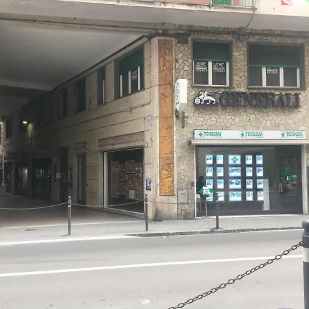 Near The ראפאלו